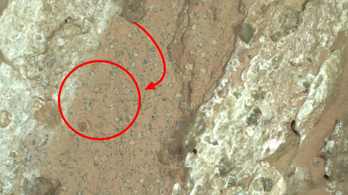 NASA ujawnia nowe dowody życia na Marsie. "Najwyraźniejszy znak, jaki znaleźliśmy"